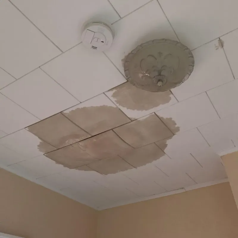 Ceiling Water Damage Repair in Shoals, IN