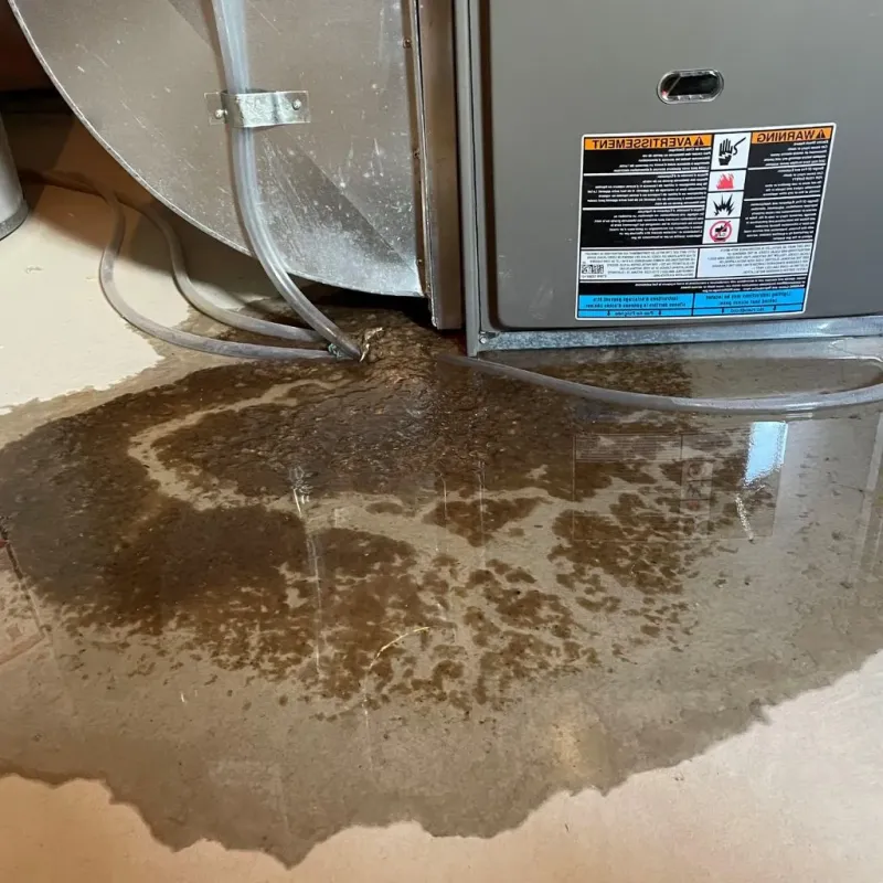 Pipe Burst and Leak Restoration in Shoals, IN